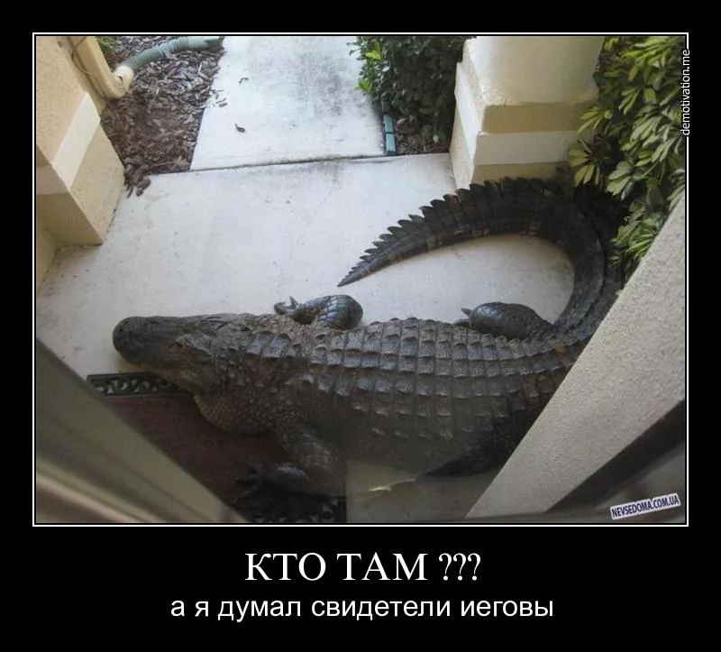 0e9c60730f33089fe1f3fae97b86bedb.webp