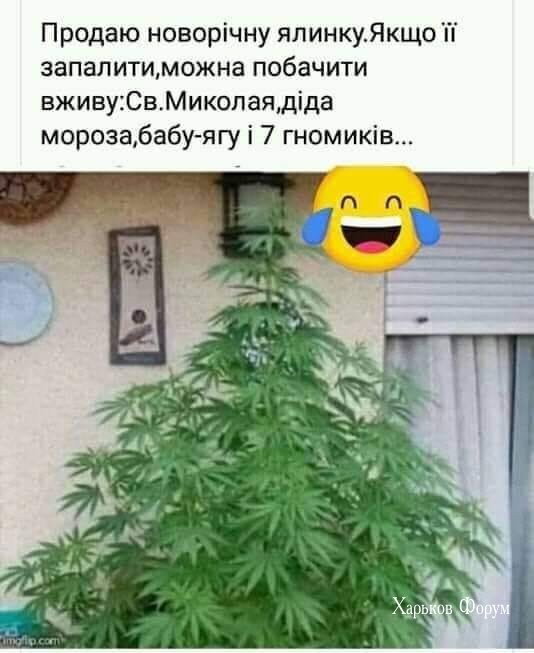 0e9fa34d5ce0d4489fe85.jpg