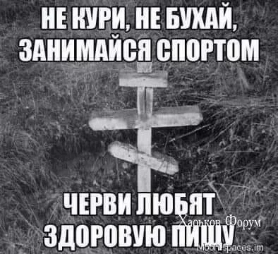 0ea16e34e34de82bd96.webp