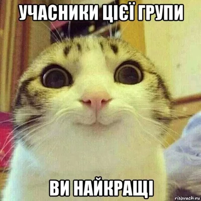 0eaahf.webp