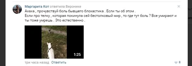 0ec49e4cfc4efffe71bbd9d21e826645.webp