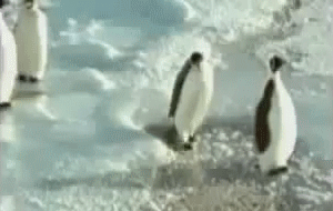 0ec646faf6d8b3f0e6.gif