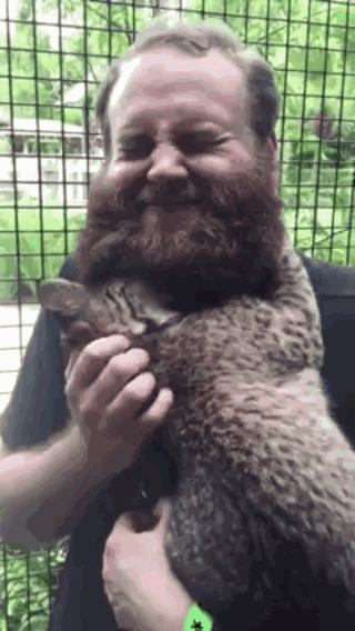 0eca0721721939afbea3fa.gif