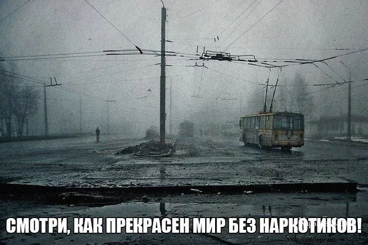 0ef55d3b96687d41.webp