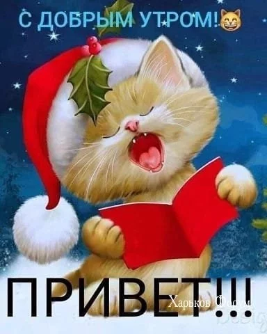 0efd6d9c680726a05ec484d.webp