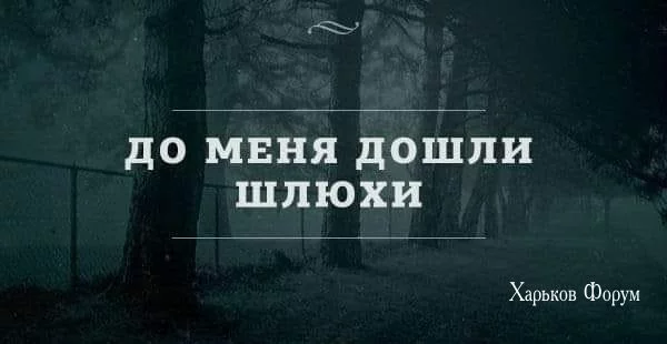 0efe0a6361c898b12e1602ae.webp