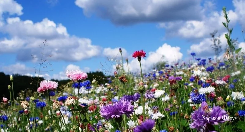 0efe90d4b2e834fb98ae5a.webp