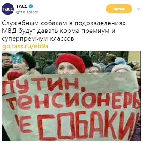 0eheaf.webp