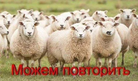 0ehjjh.webp