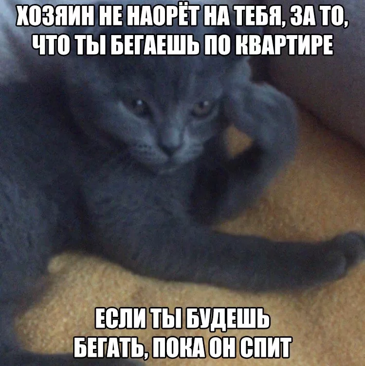 0ejjbd.webp