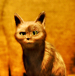 0f15a8e55294da7d.gif
