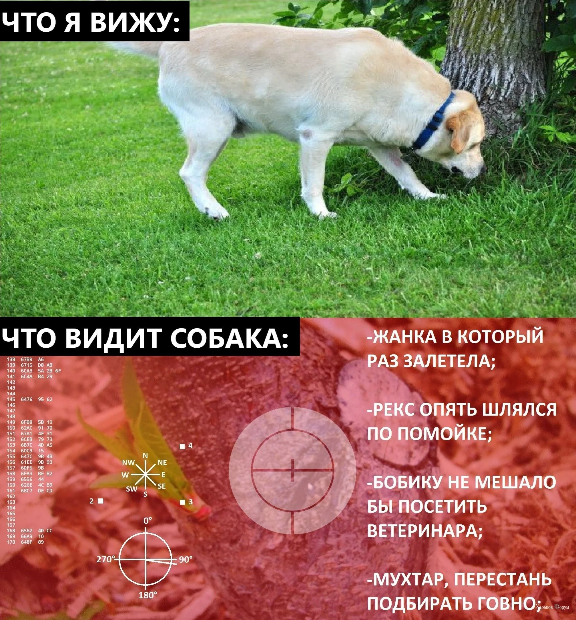 0f1ee05c21d071add881a44.webp
