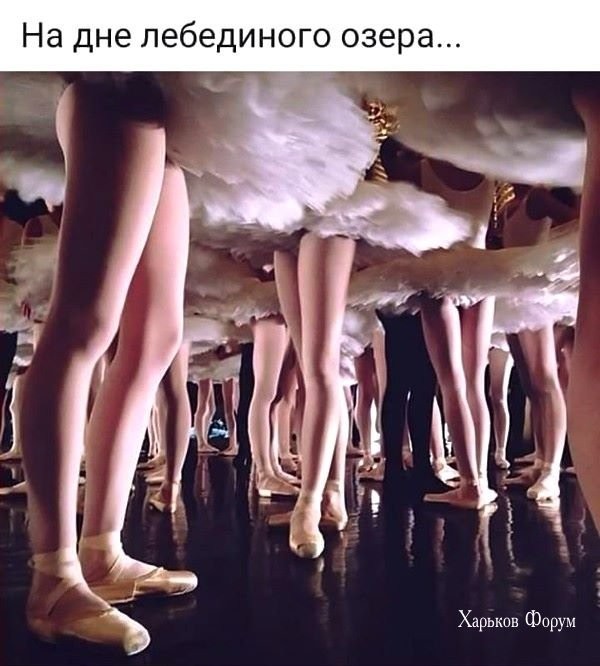 0f1f7dded57da690e.jpg