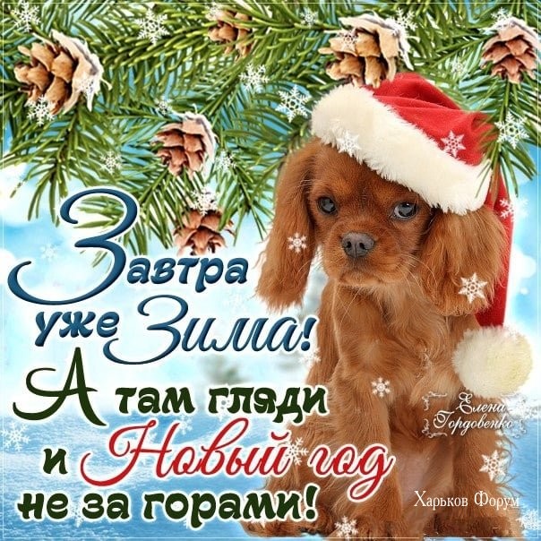 0f58bfb0dce6e22b958a1479.jpg