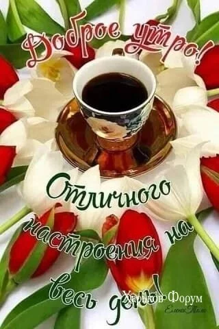 0f5d122dba96c2f227.webp