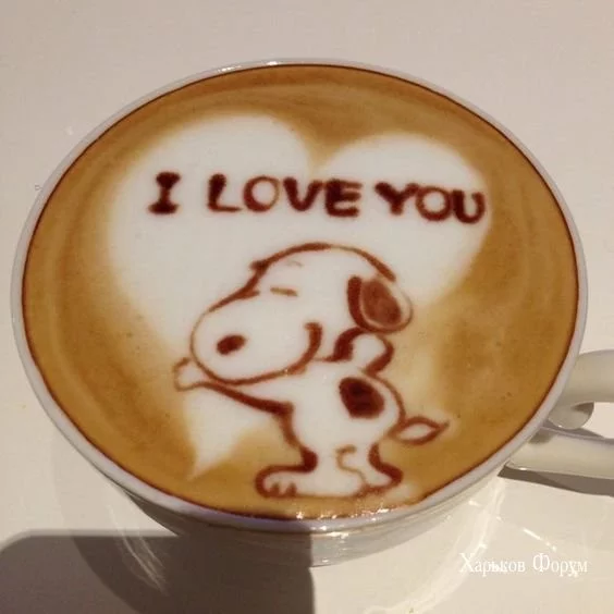 0f6cf7078b371a81a47.webp