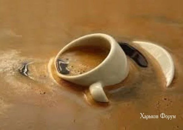 0f7973a16ae2ac2e32567.webp