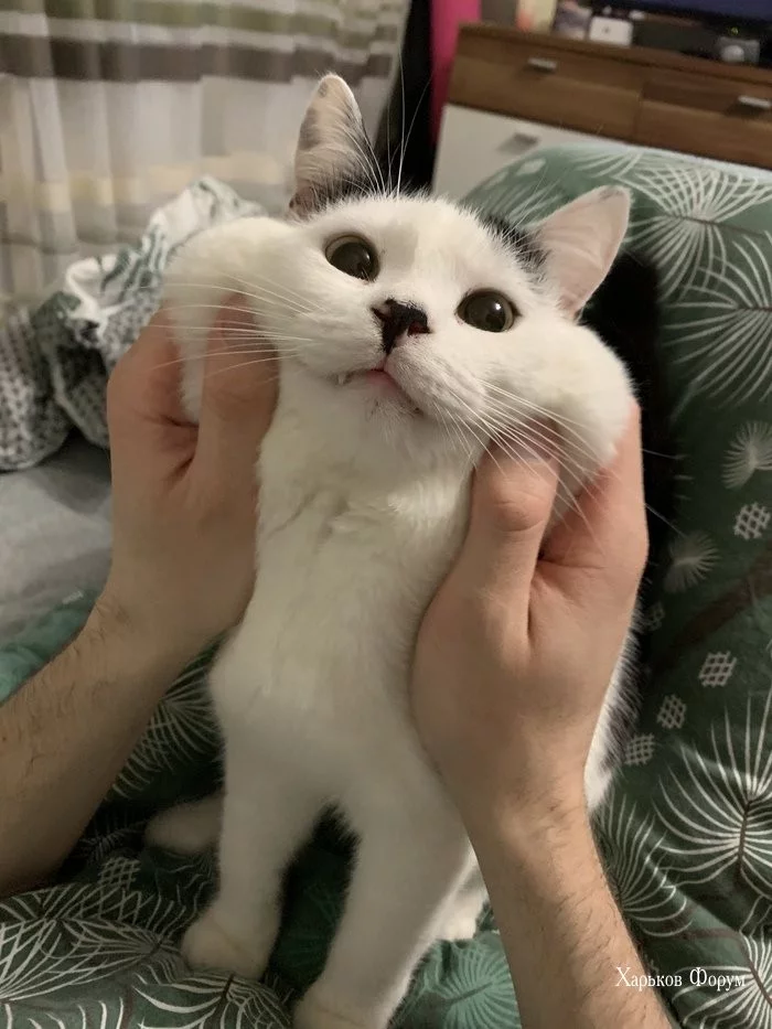 0f7b9c0f5e6422ac114761.webp