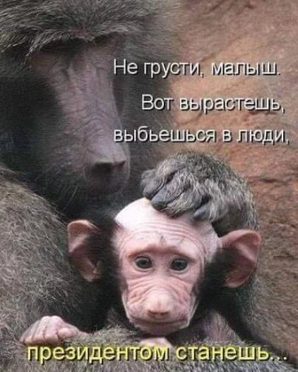 0faegd.webp