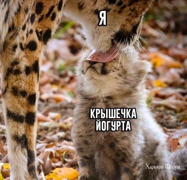 0fb37e75594114f0e.webp