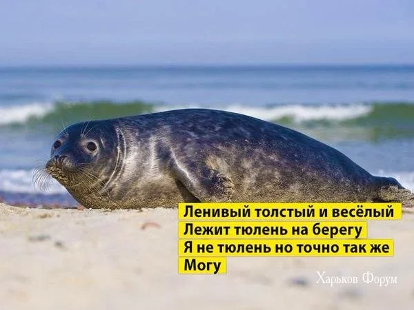 0fb59ef06de155d575b30.webp