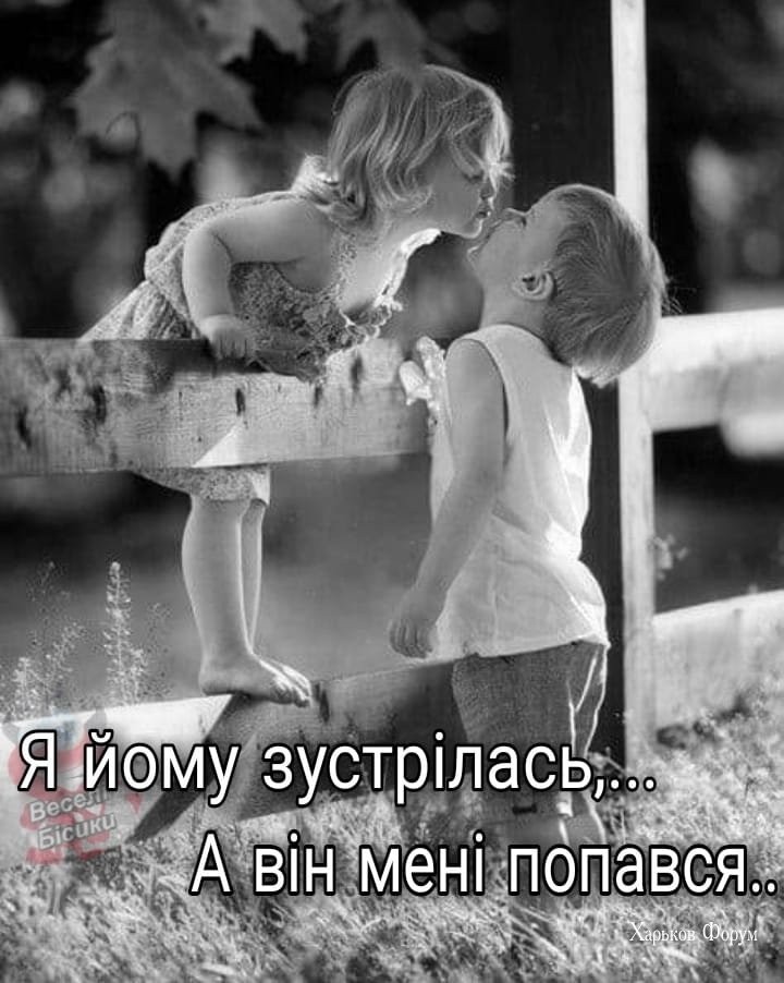 0fb5c8874ac0ea1a9378.jpg