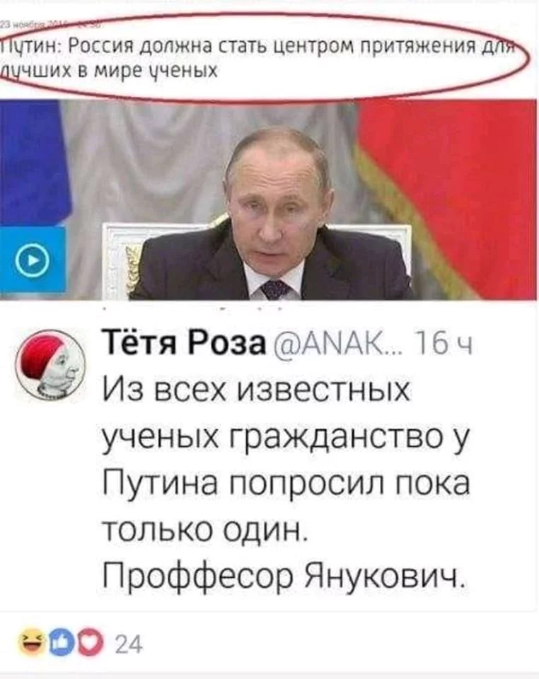 0fbcab.jpg