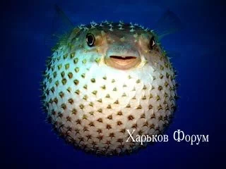 0fccd56232f02789.webp