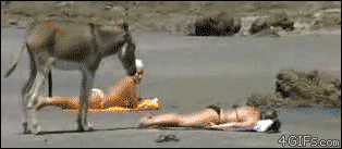 0fe163a889301ec077cb.gif