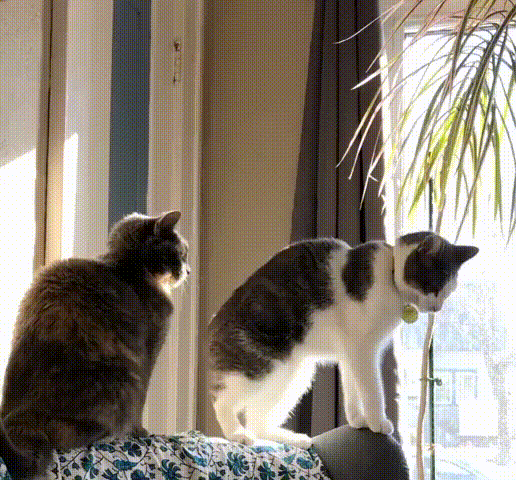 0fe840cecb5d34e12f97d.gif