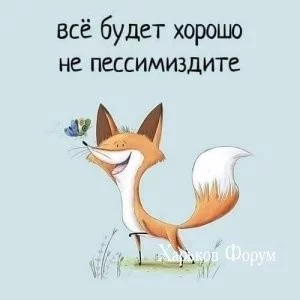0fe902522ef4b89cd9402bad.webp