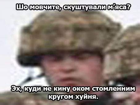 0fecdh.webp