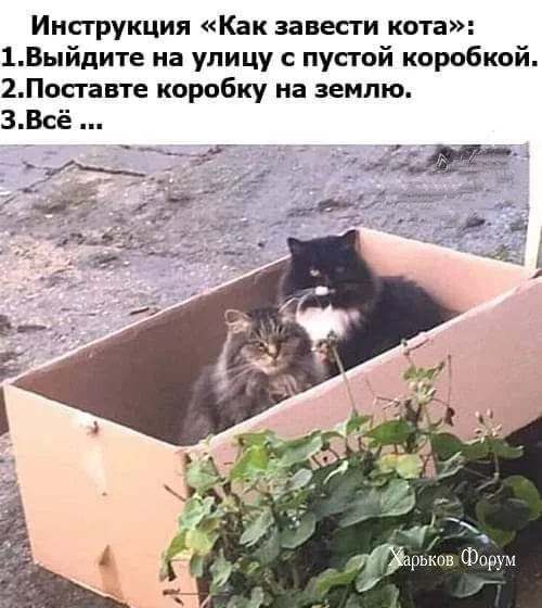 0fed8f57cdd73cf4fb7f.webp