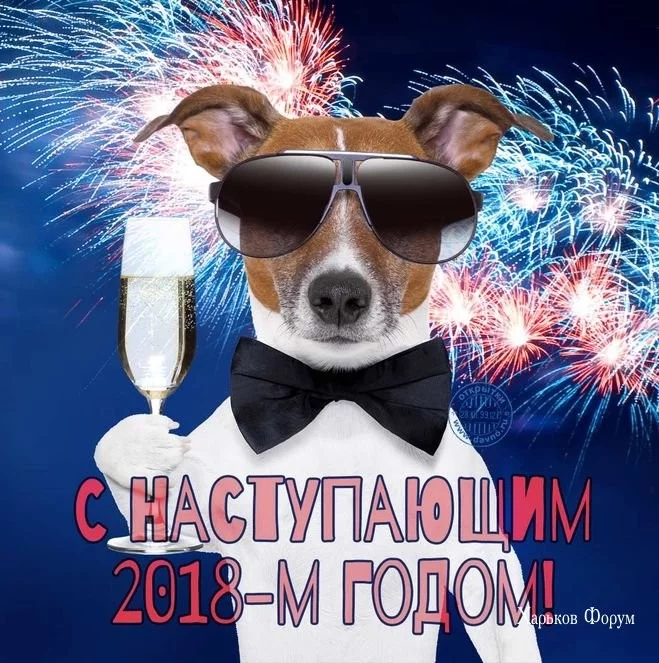 0ff329a09dda81d630158.webp