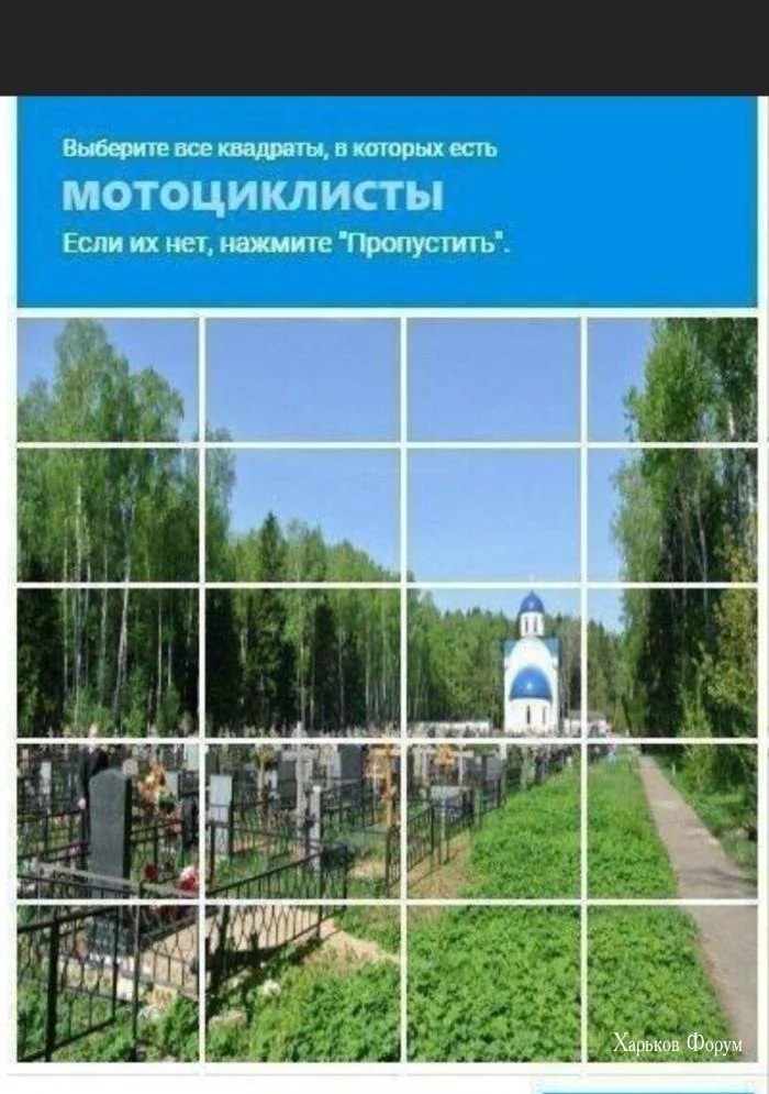0ff461ded9d5f399a14bce.webp