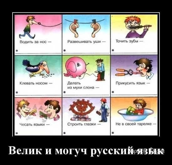 0ff707ff52c1abfc13c250.jpg