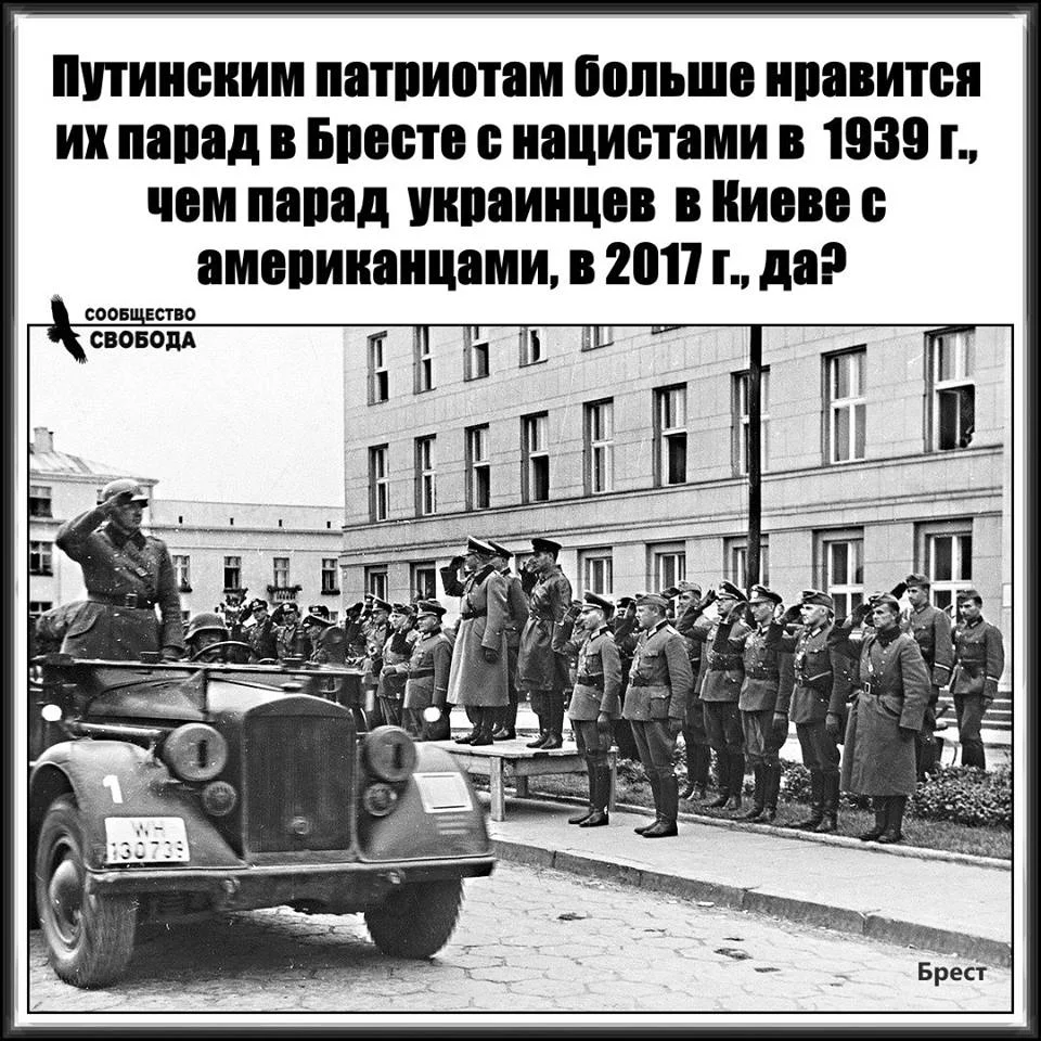 0fgjef.webp