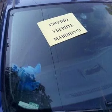 0gadce.webp