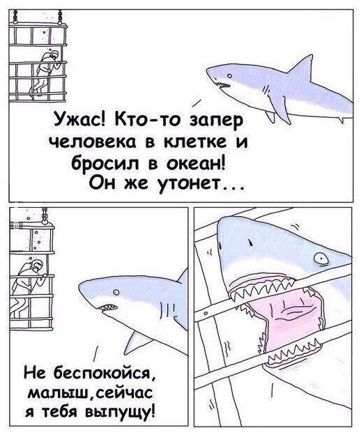 0gadfb.jpg