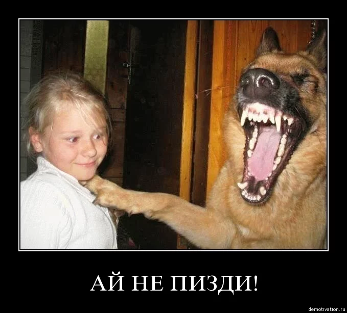 0gdeea.webp