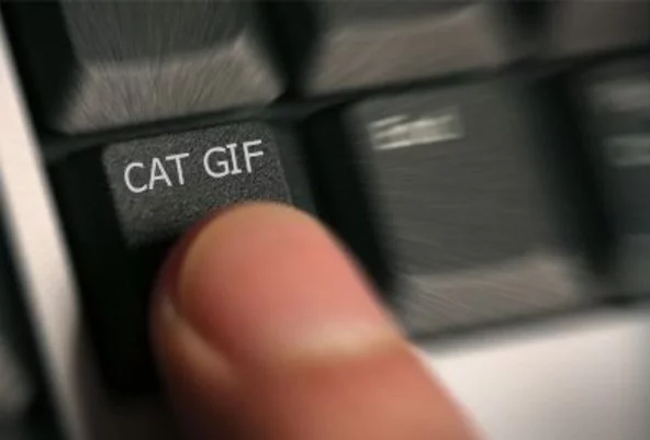 0gdhej.webp