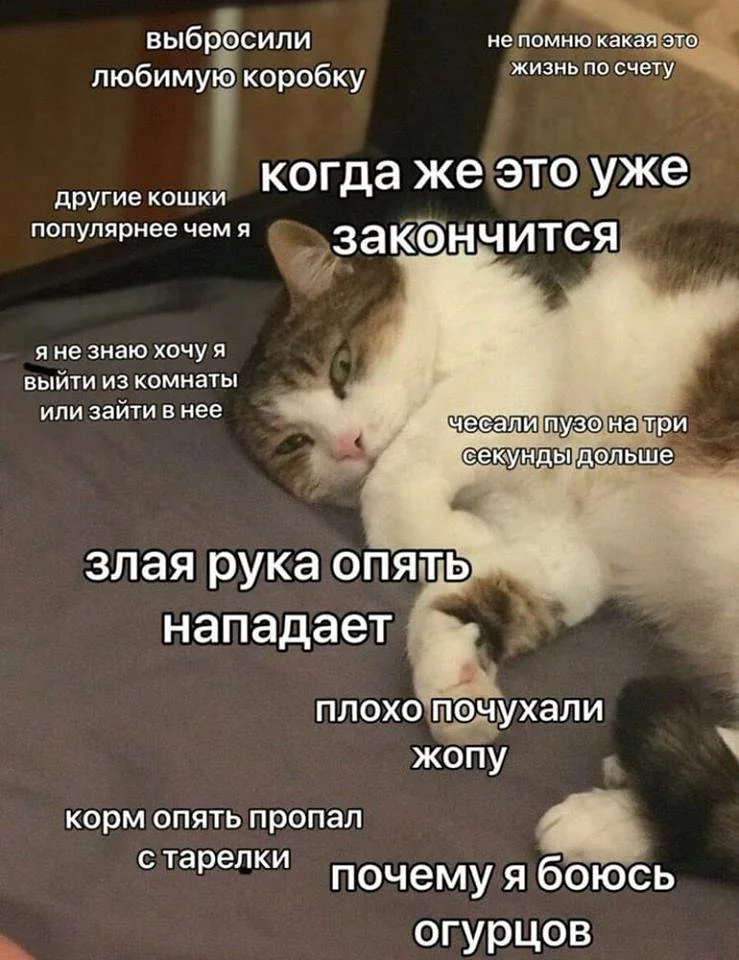 0hbdjg.webp