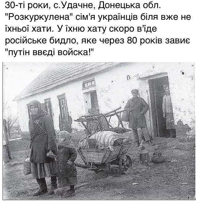 0hbedh.webp