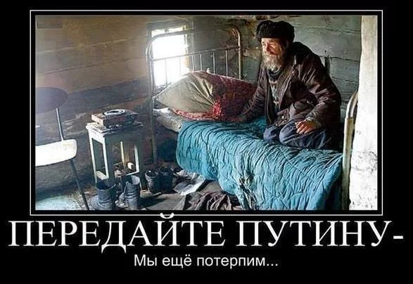 0hcfch.webp
