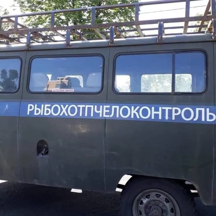 0hdejh.webp