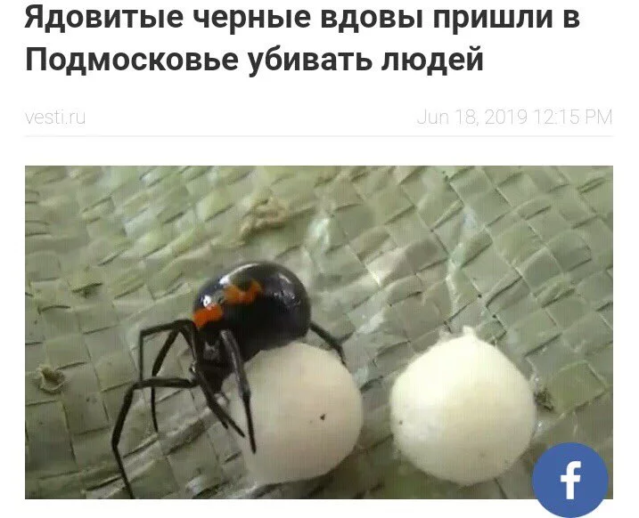 0hhagc.webp