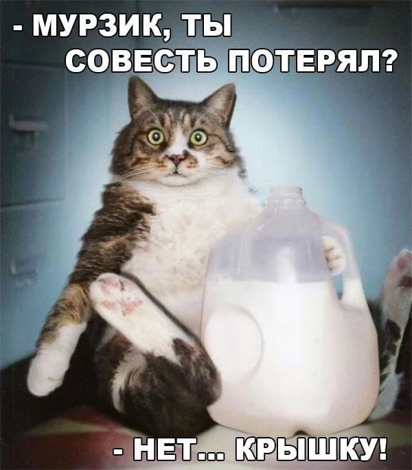 0jedja.webp