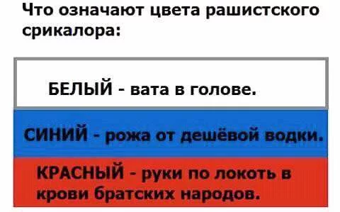 0jfbac.webp