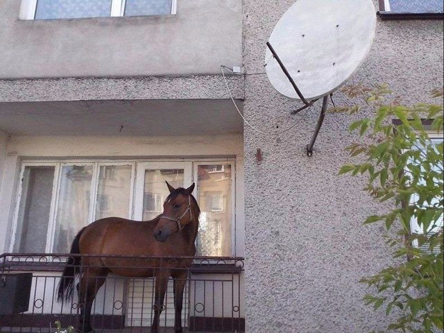 0lUZknjHeQ4.jpg