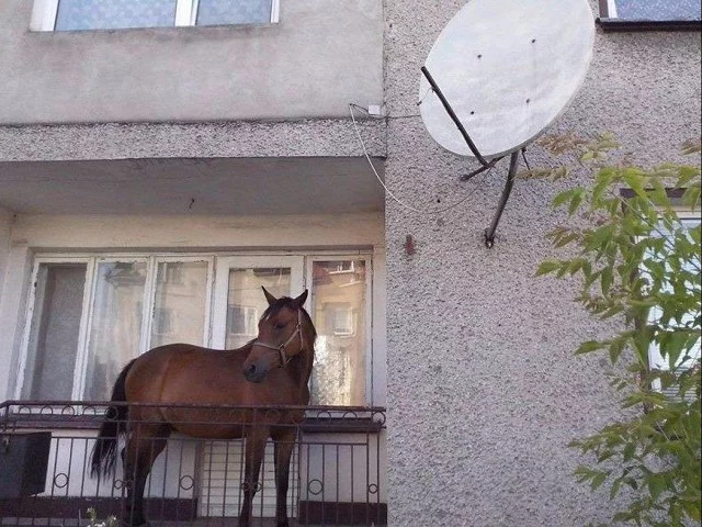 0lUZknjHeQ4.webp